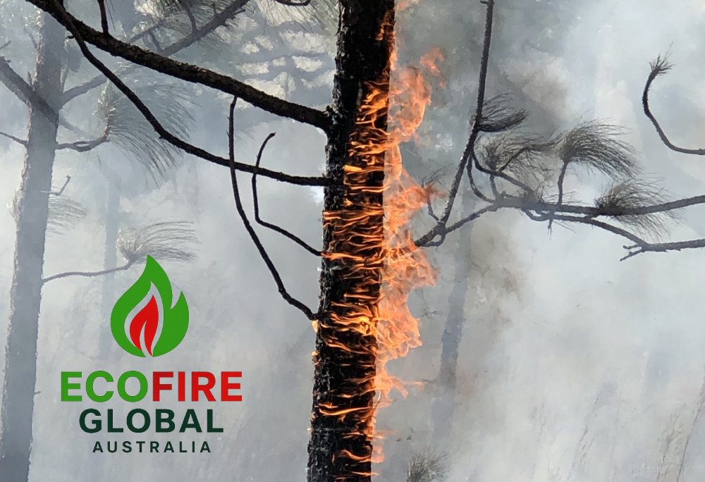 Ecofire Forest: Australia’s Most Effective Bushfire Protection for Forestry Operations